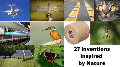 things that are inspired by nature